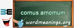 WordMeaning blackboard for cornus amomum